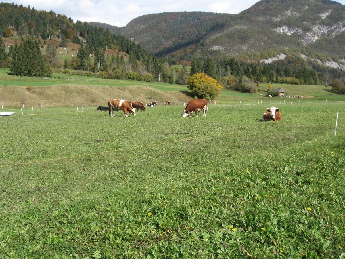 Apartma Neva Bohinj Exterior photo