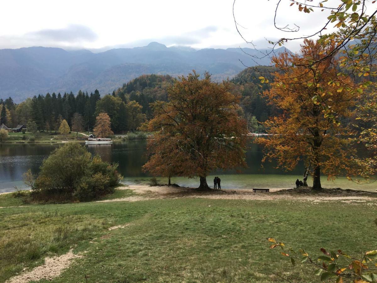Apartma Neva Bohinj Exterior photo